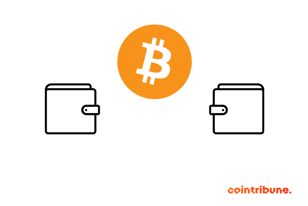 A bitcoin transaction between two bitcoin wallets